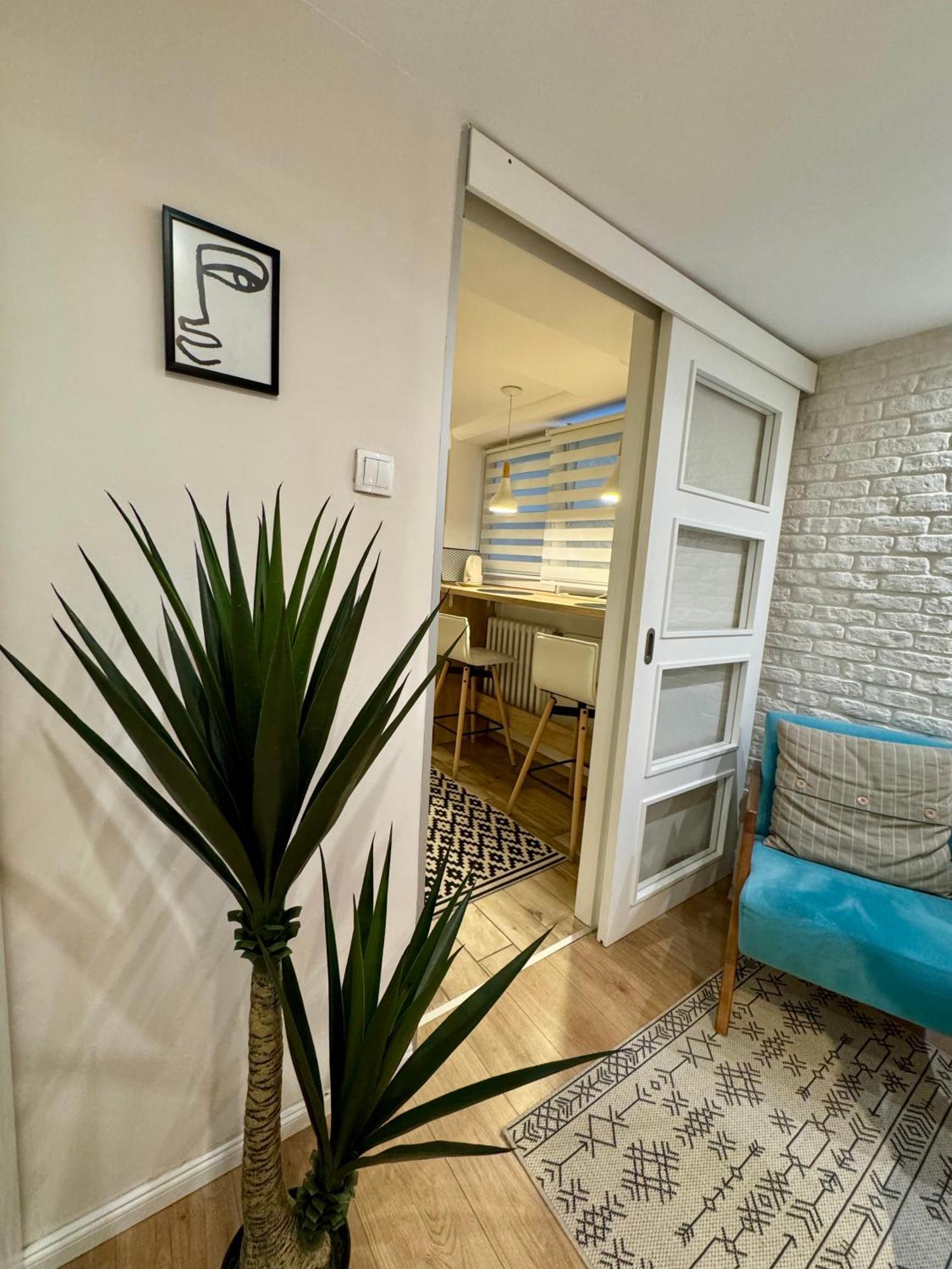 Cozy Haven Apartment Belgrade Exterior photo